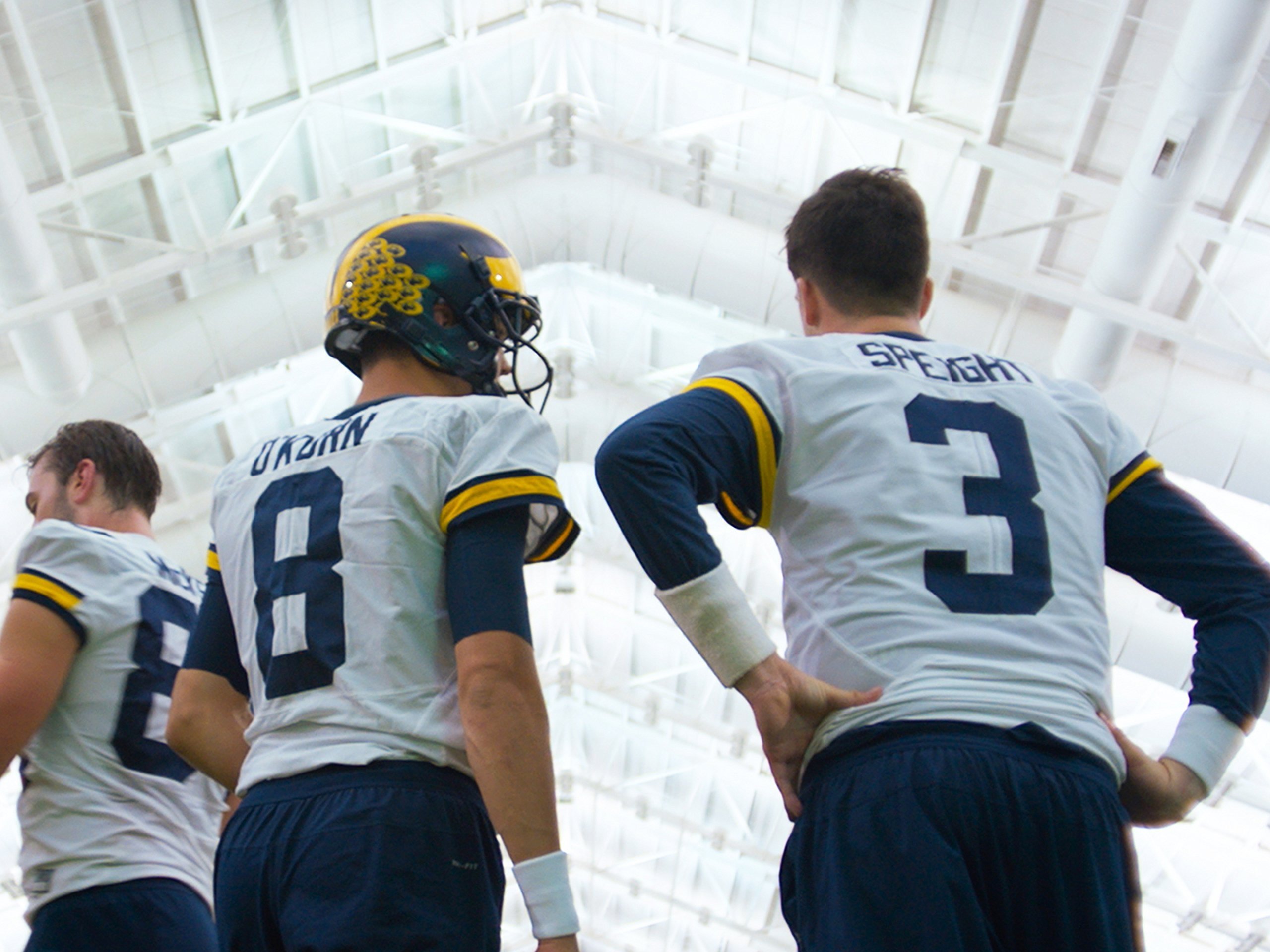 All or Nothing: The Michigan Wolverines