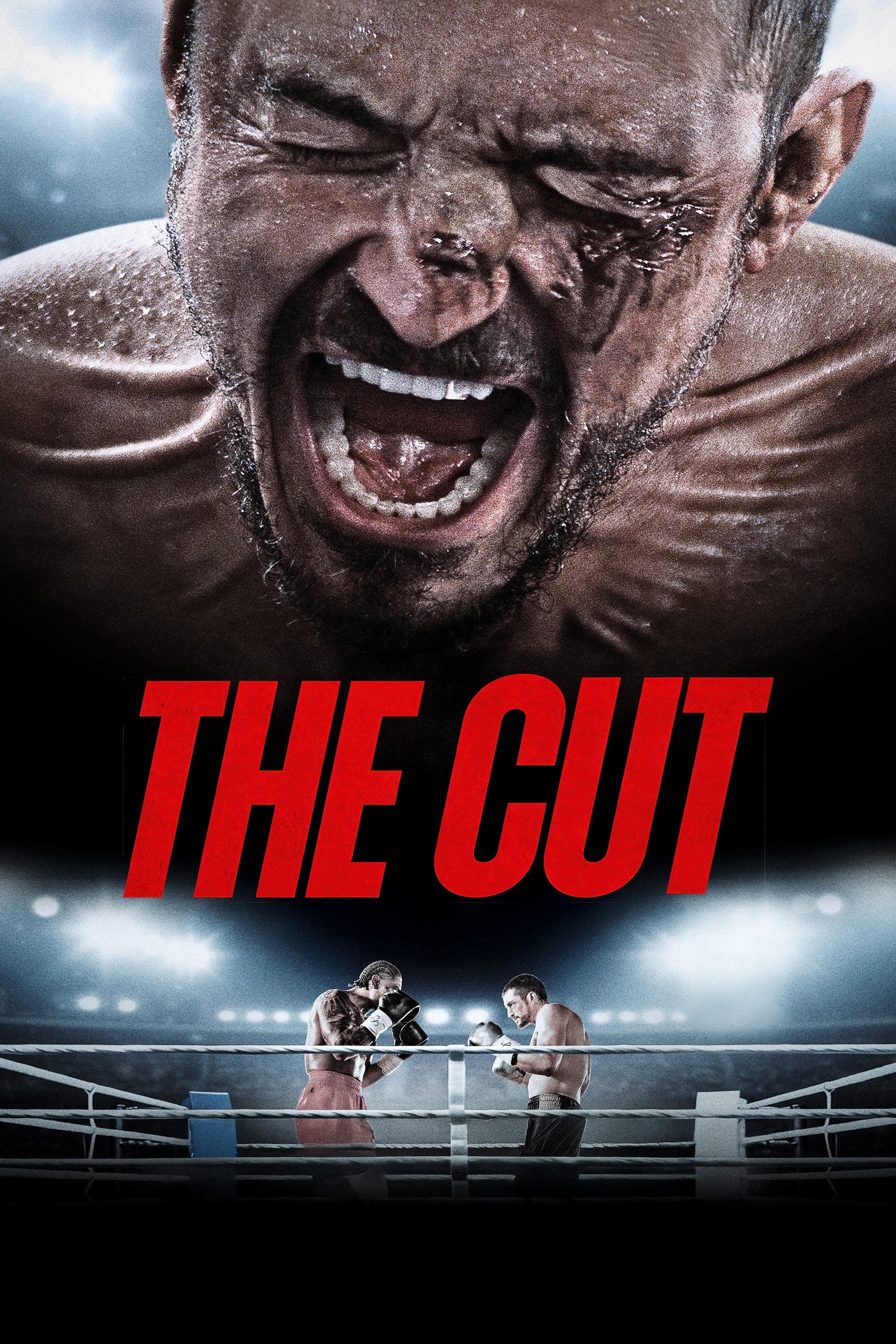 The Cut poster image
