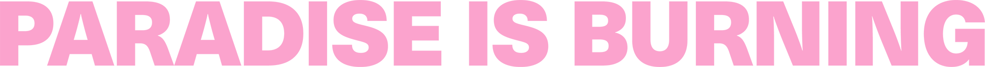 Paradise Is Burning Logo