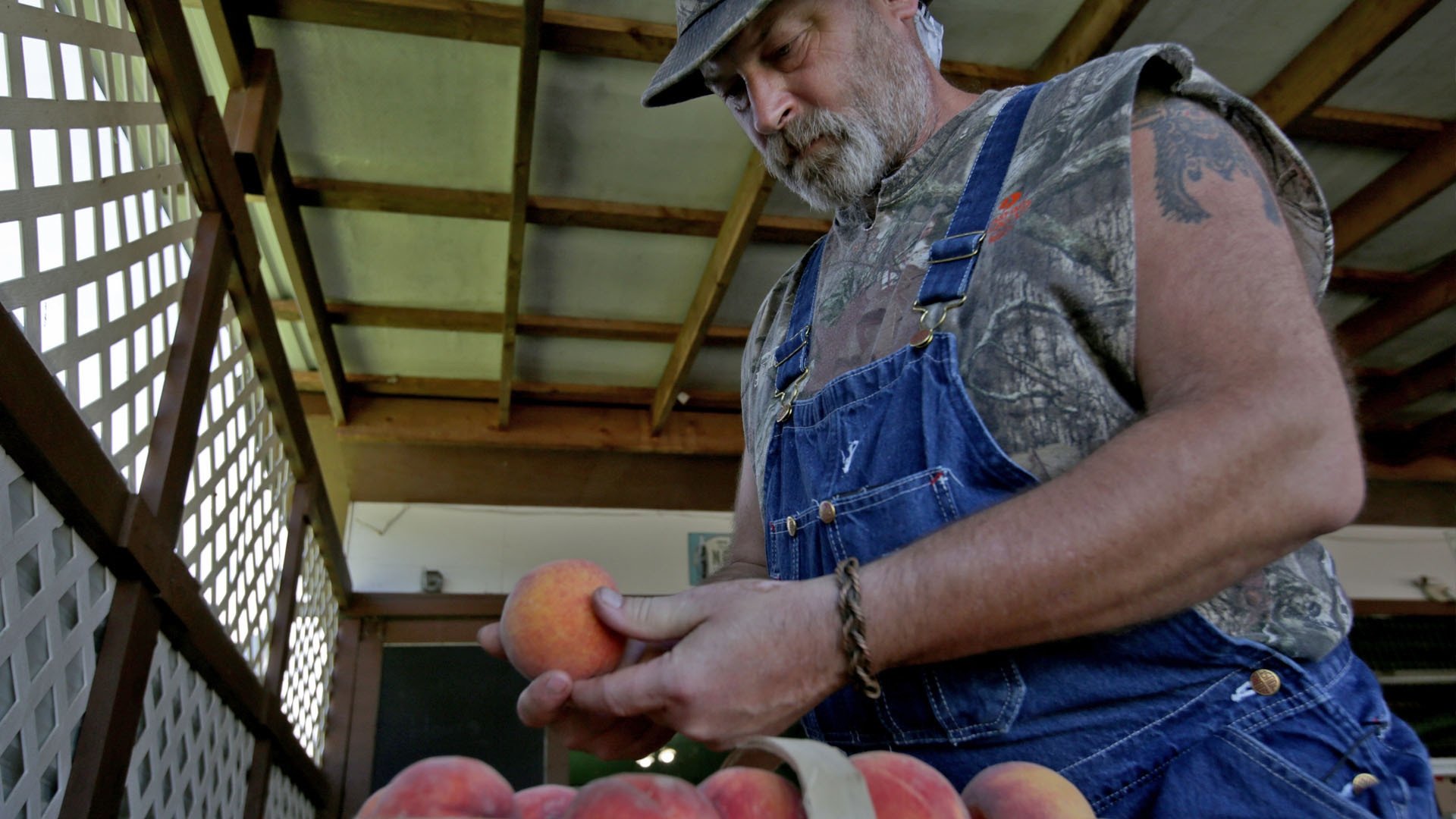 Moonshiners