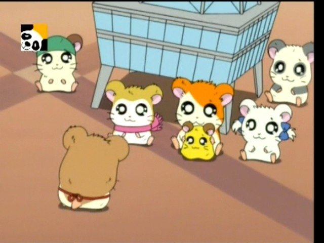 Hamtaro