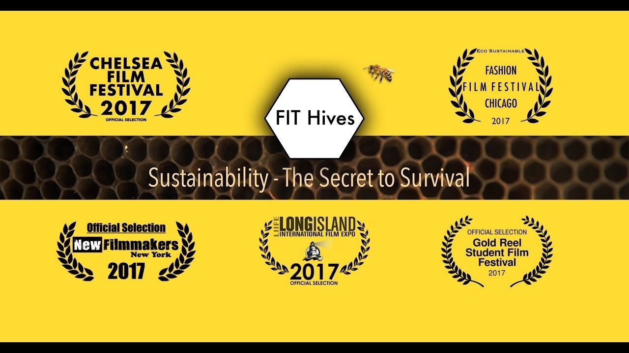 FIT Hives: Sustainability - The Secret to Survival