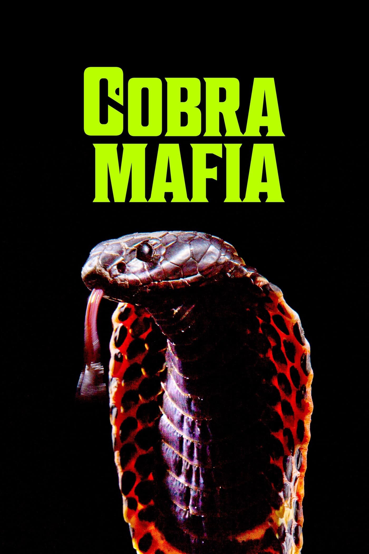 Cobra Mafia