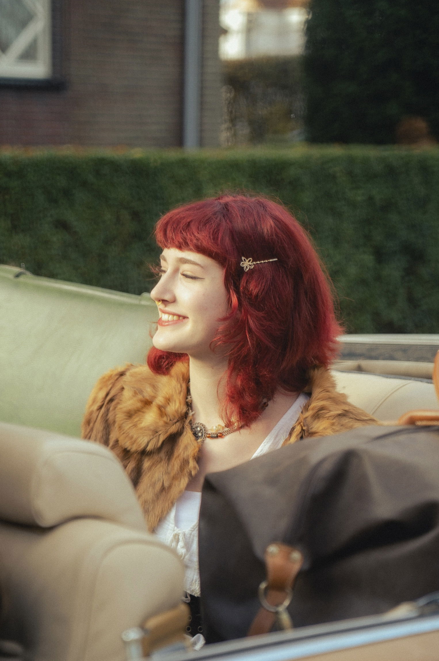 et billede af Lotus delabrassine