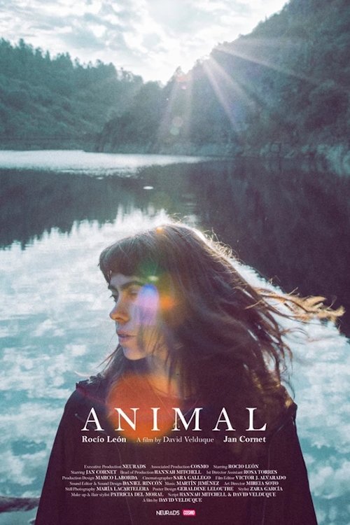 Animal Animal