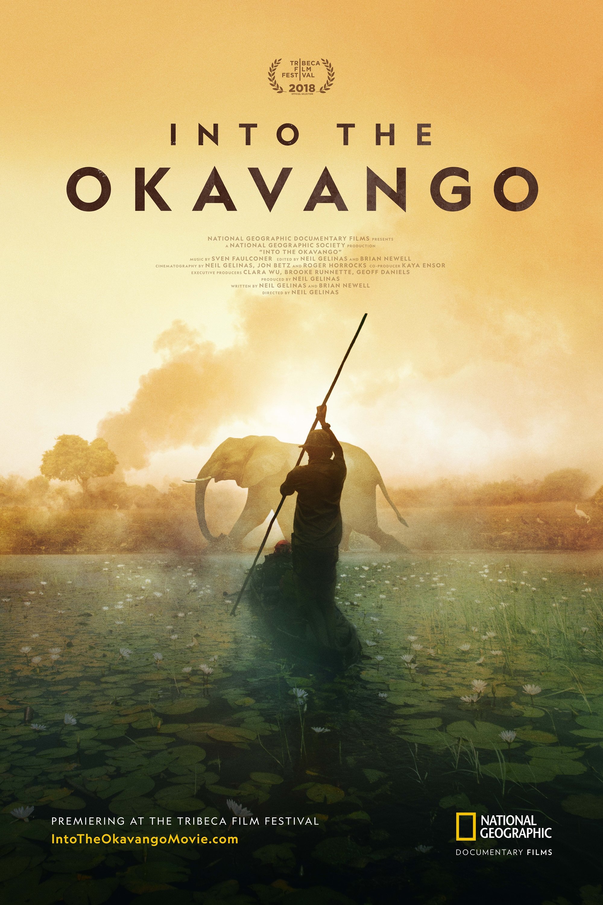 Into the Okavango