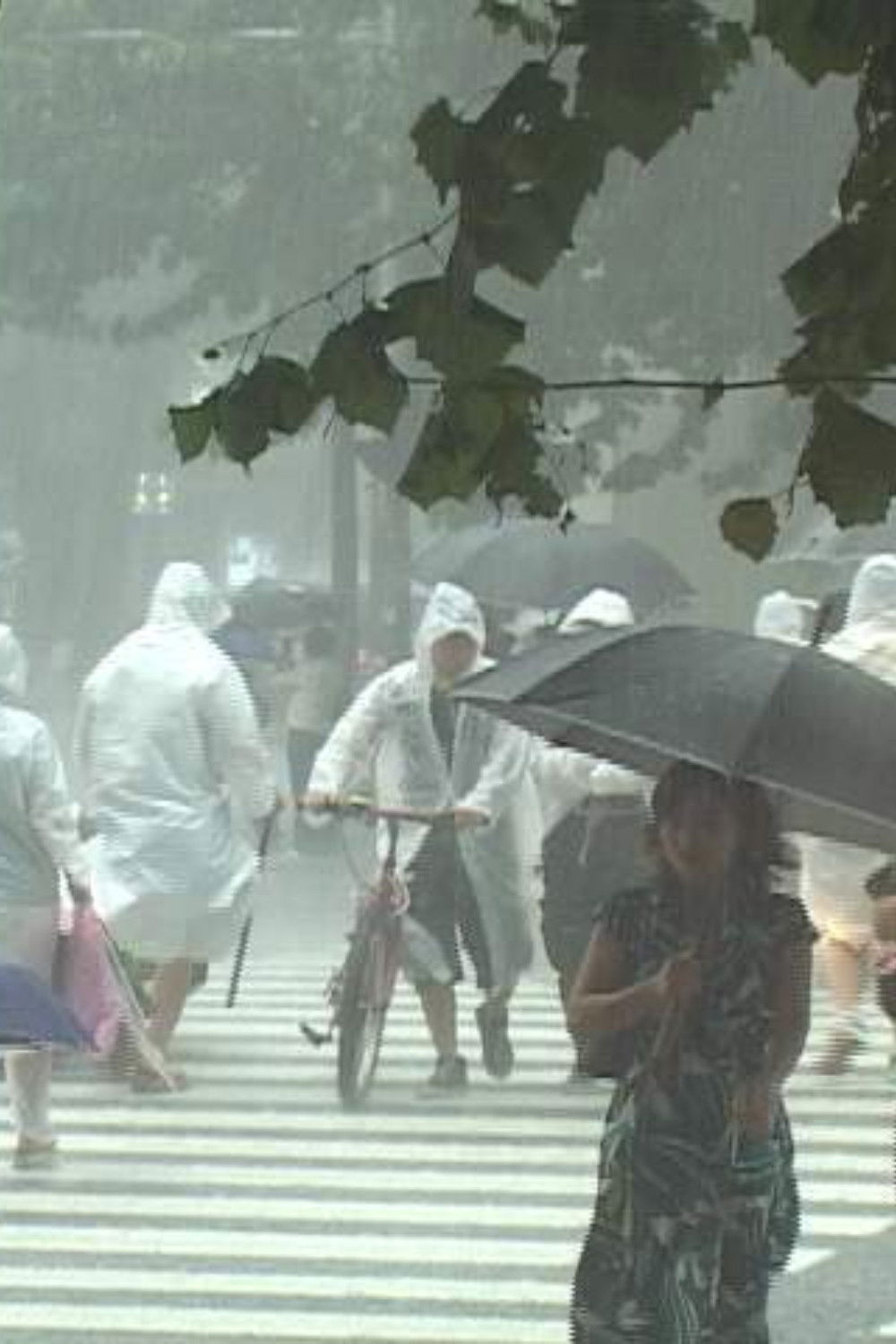 Battlefield Calling Poster