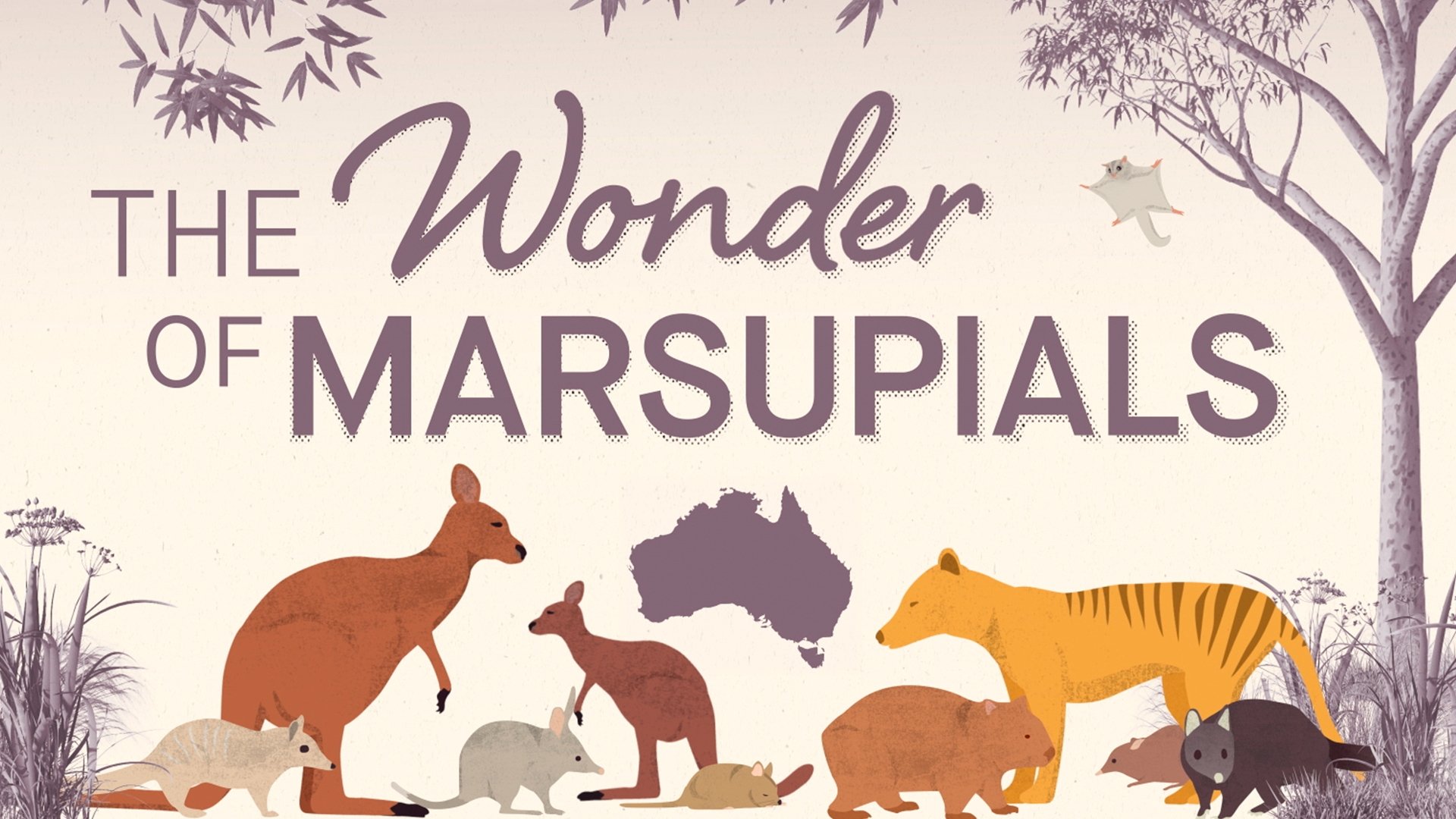The Wonder of Marsupials