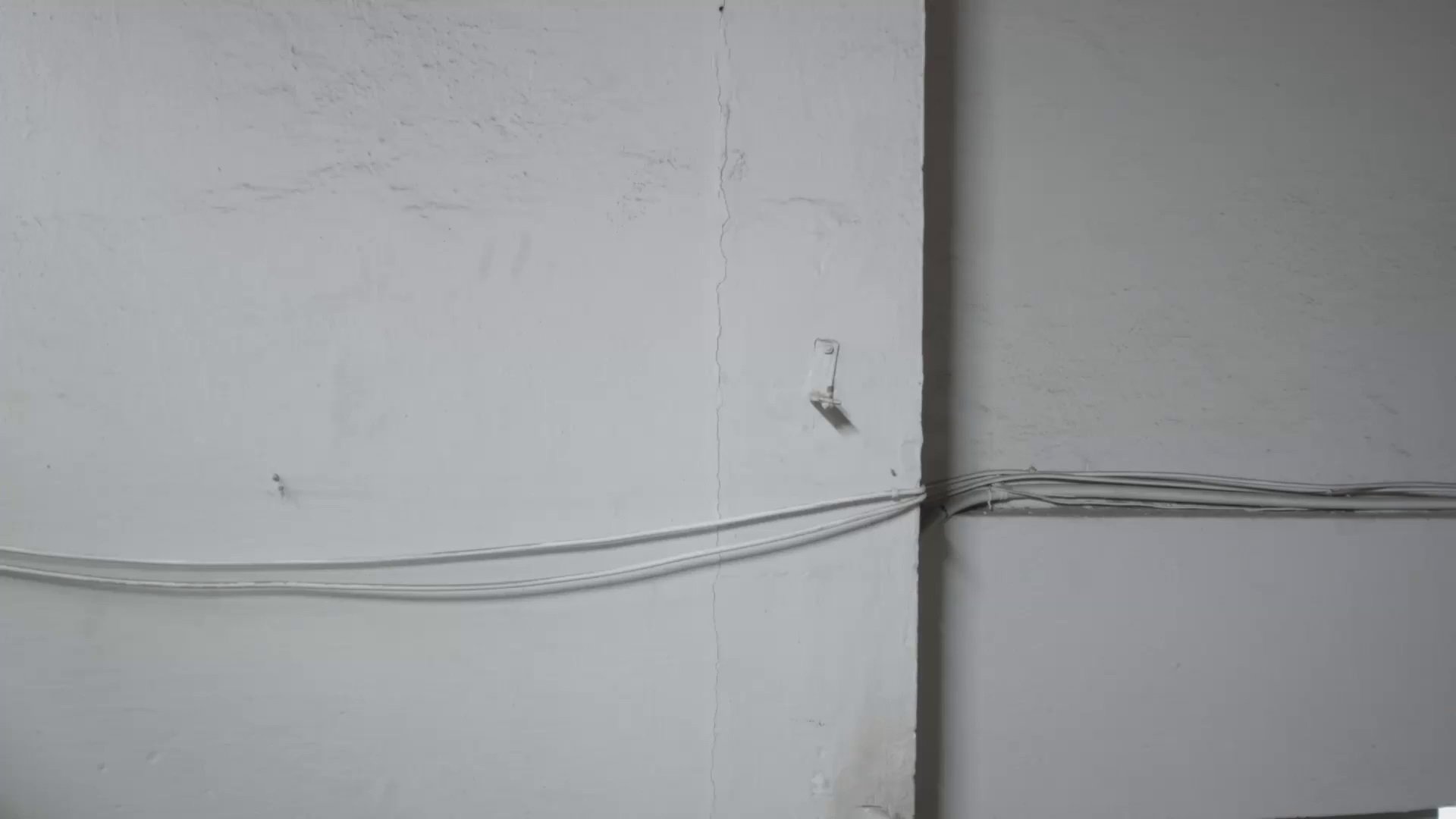 Imagem do Filme ela viu aranhas
