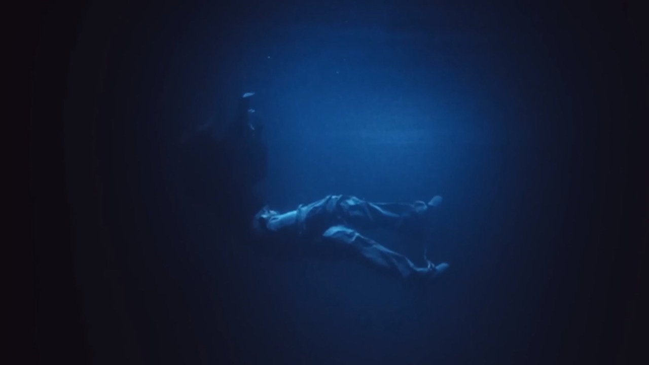 Fever Dream (2024)
