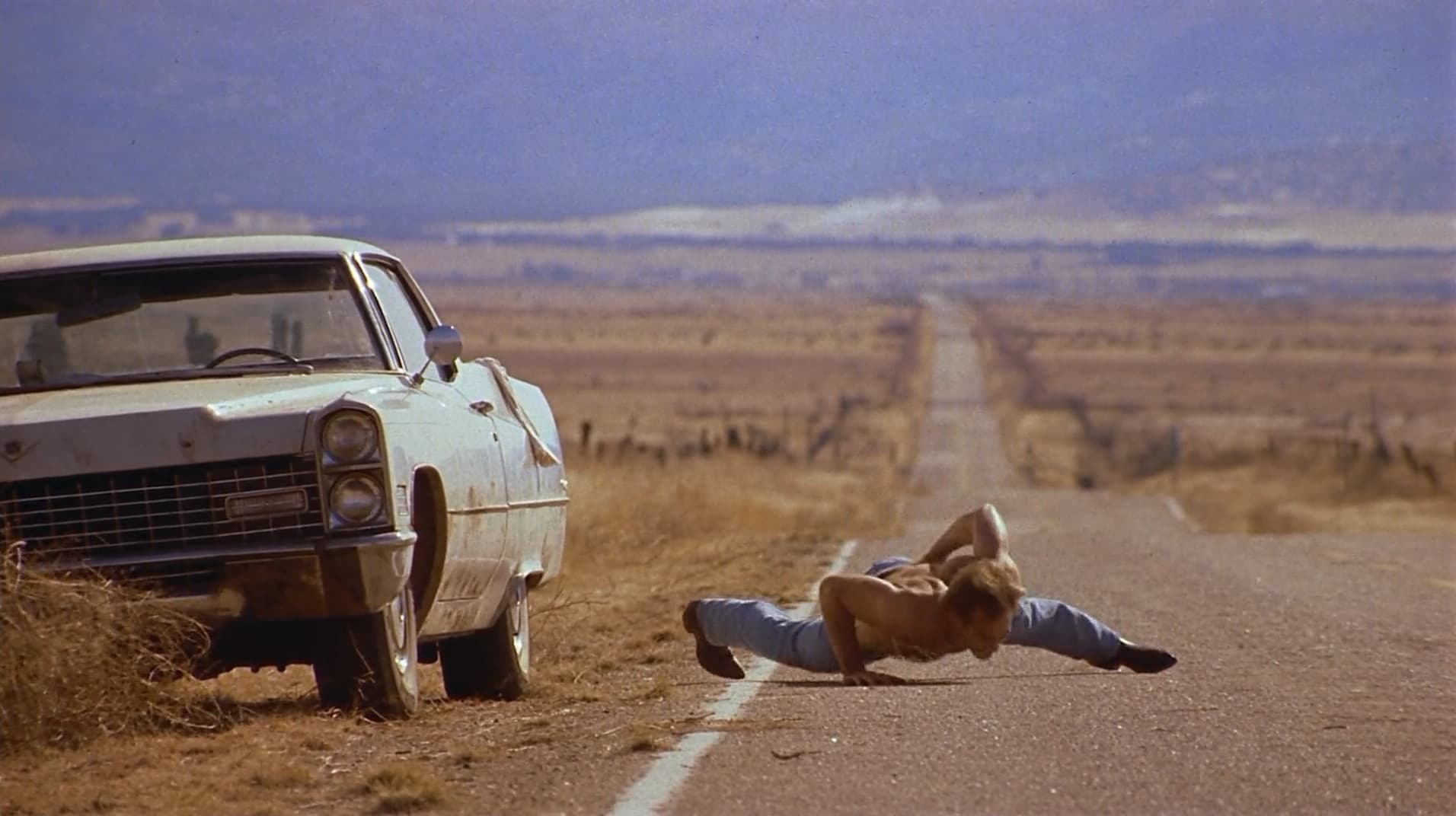Red Rock West (1993)