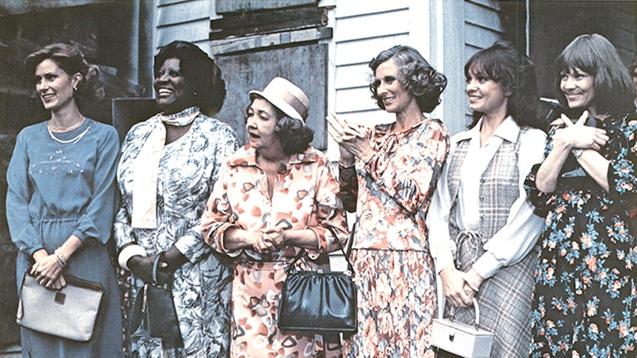 The North Avenue Irregulars (1979)