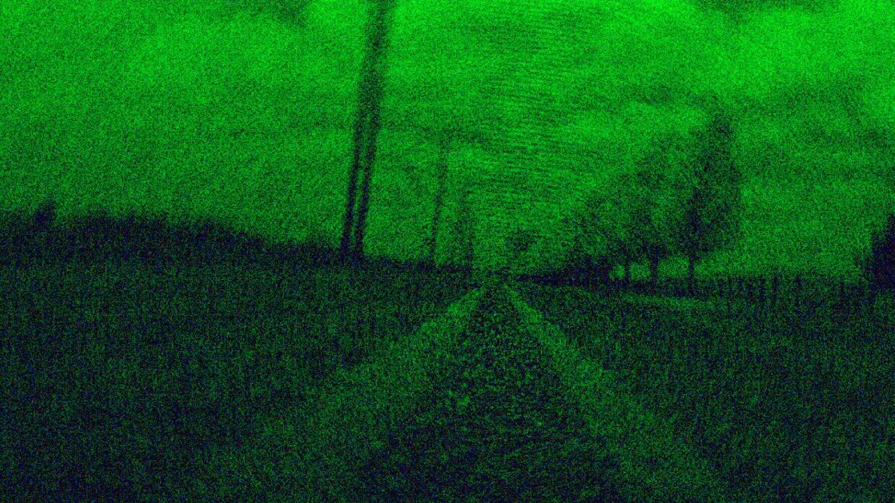 Imagem do Filme VHS Roadkill