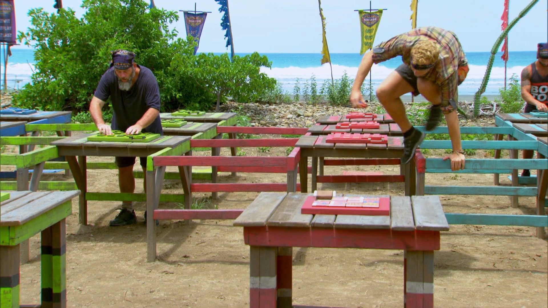 Survivor 30x8