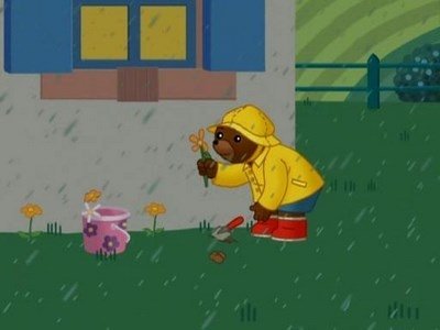 Little Brown Bear Adventures