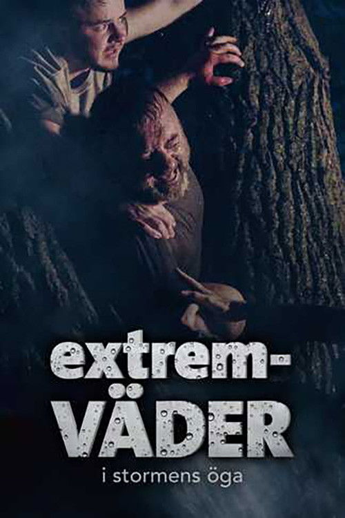 Storm Stories: The Next Chapter Poster