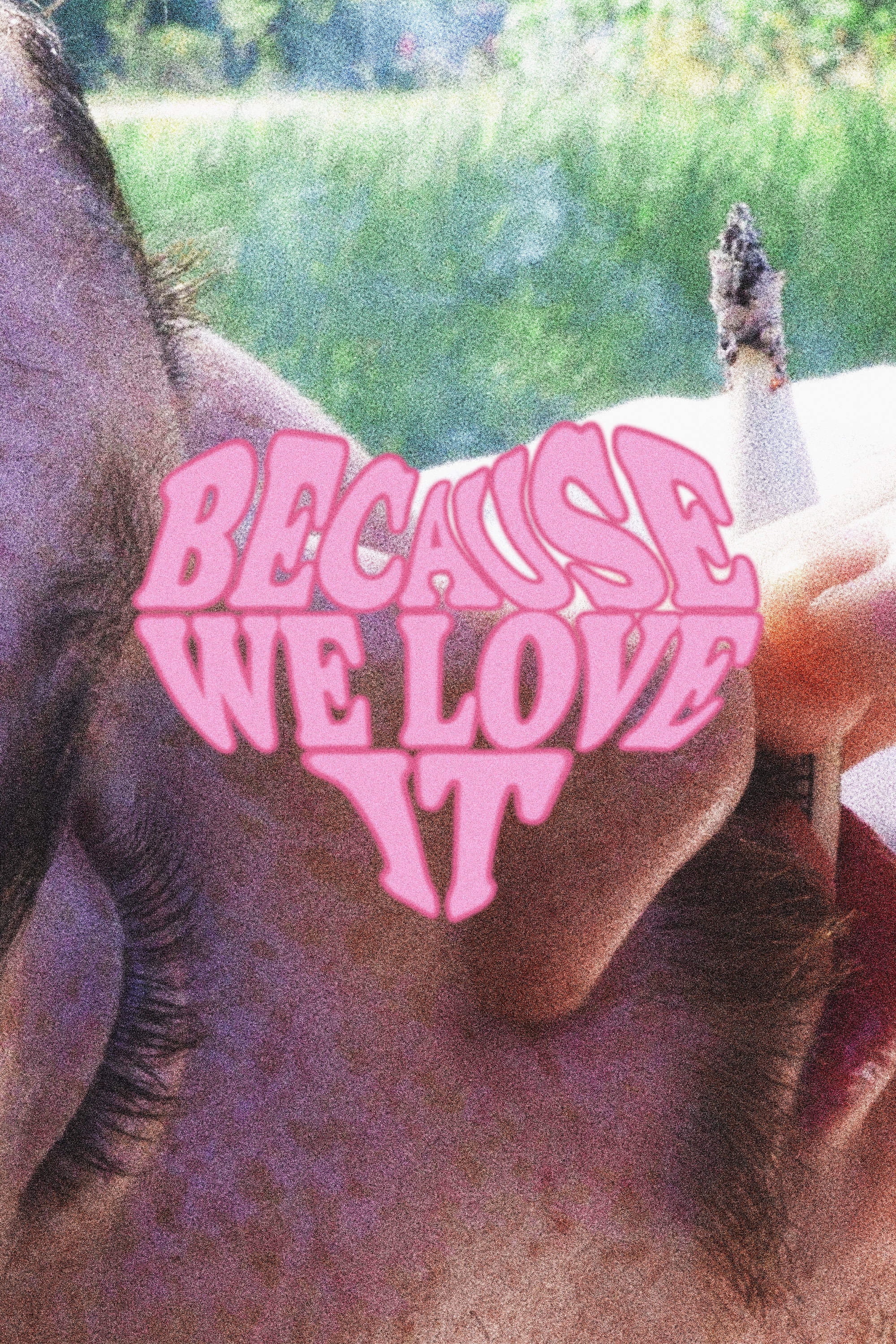 Because We Love It