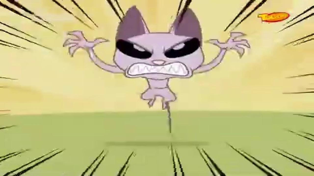 Kid vs. Kat