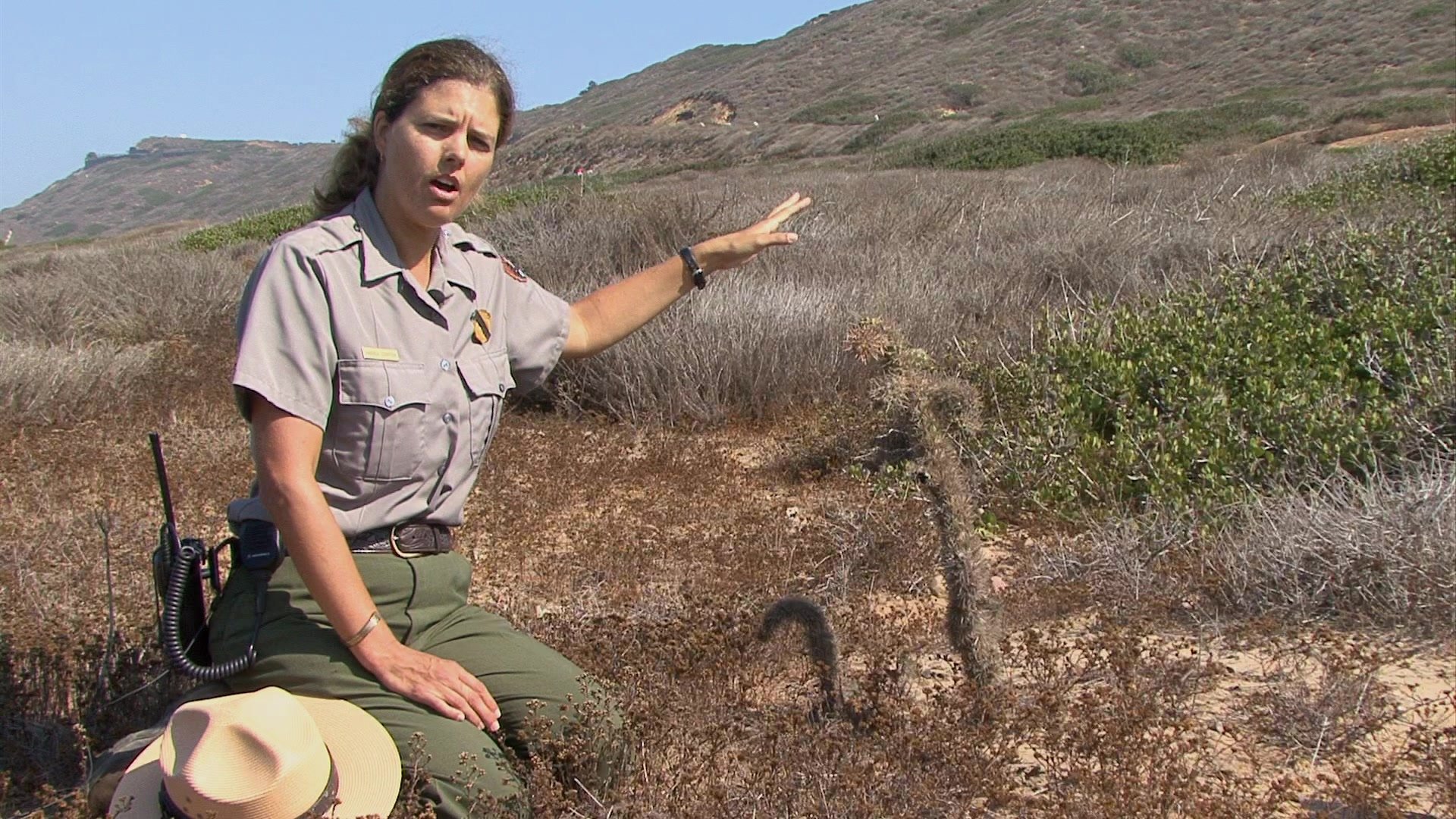 Thumbnail for The Great Biodiversity of the Pacific Northwest Season 1 Episode 12