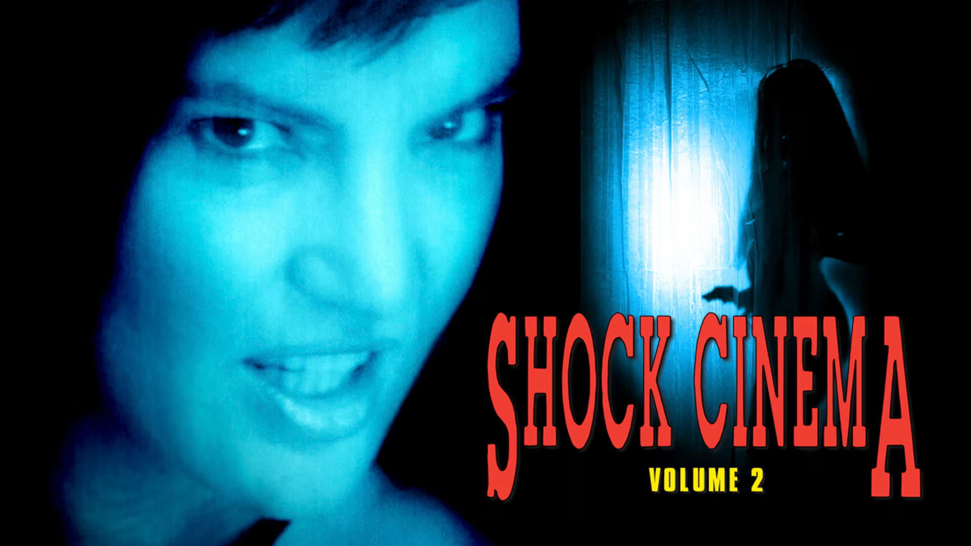 Shock Cinema: Volume Two