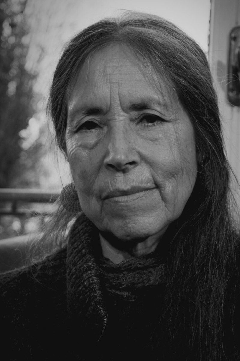 et billede af Cecilia Vicuña