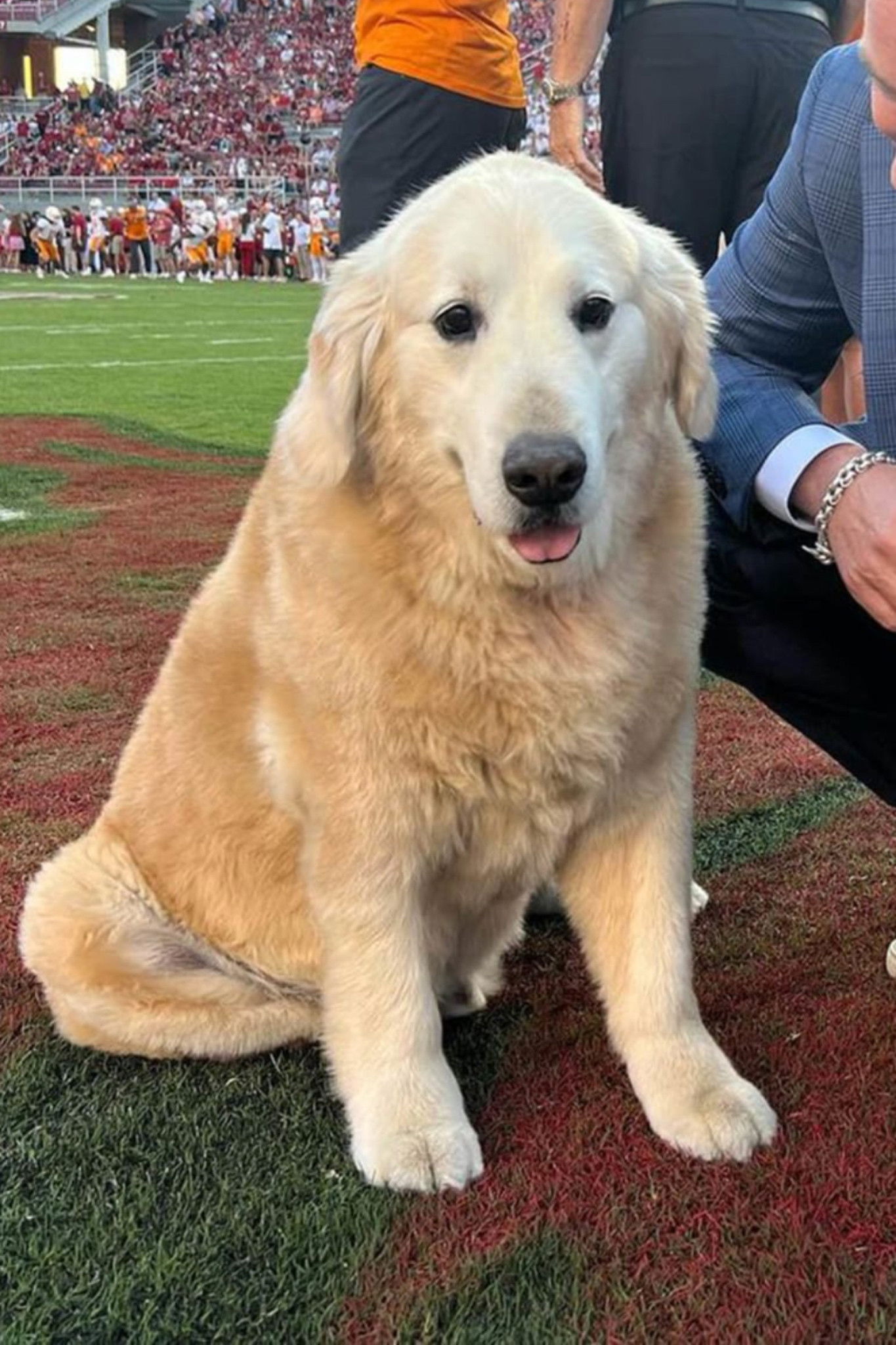 et billede af Ben Herbstreit