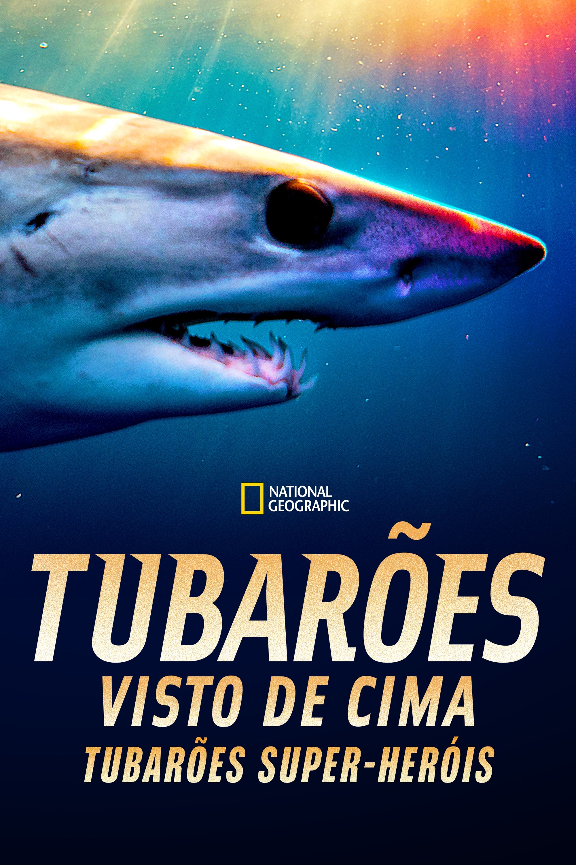 Tubarões Visto de Cima: Tubarões Super-heróis Tubarões Visto de Cima: Tubarões Super-heróis