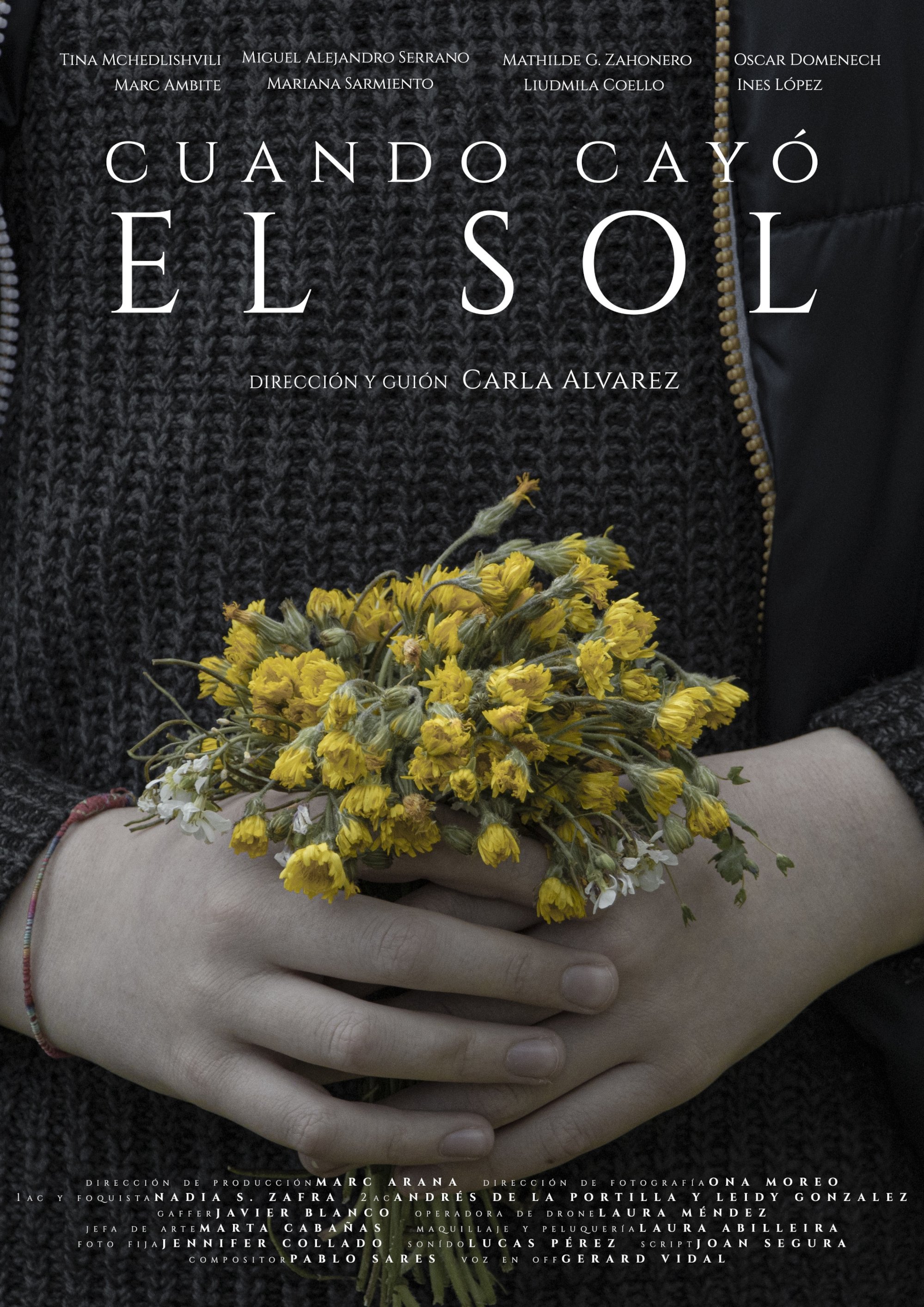 Cuando cayó el sol Cuando cayó el sol
