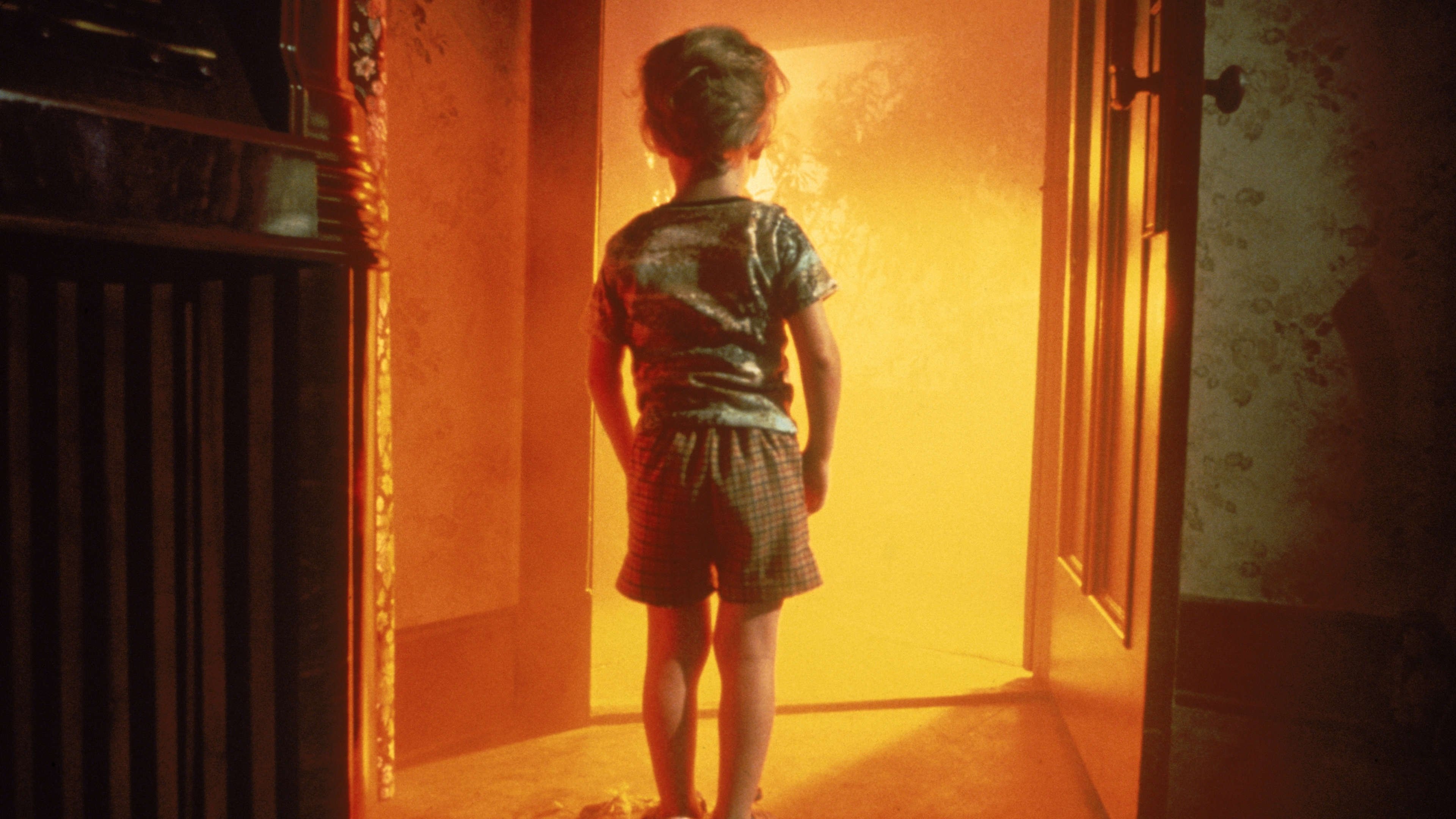 Close Encounters of the Third Kind (1977)