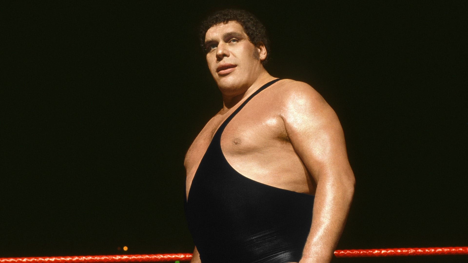 Andre the Giant (2018)