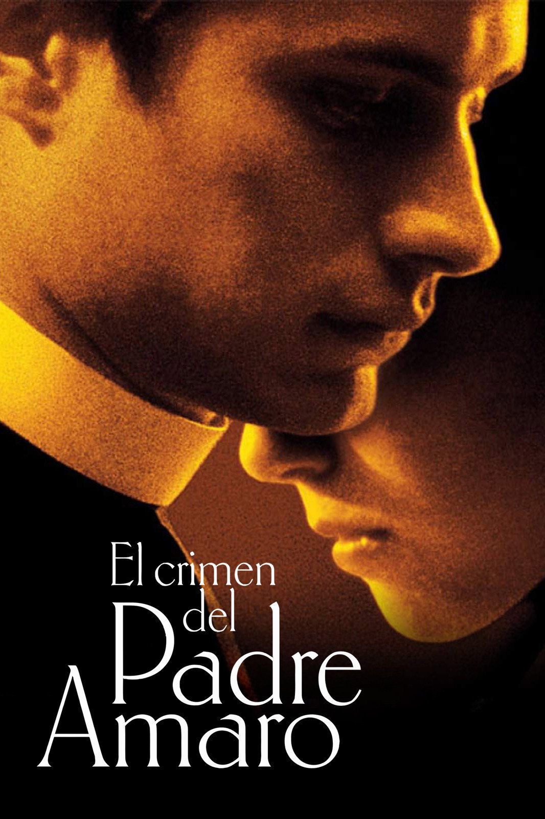 Le Crime du père Amaro