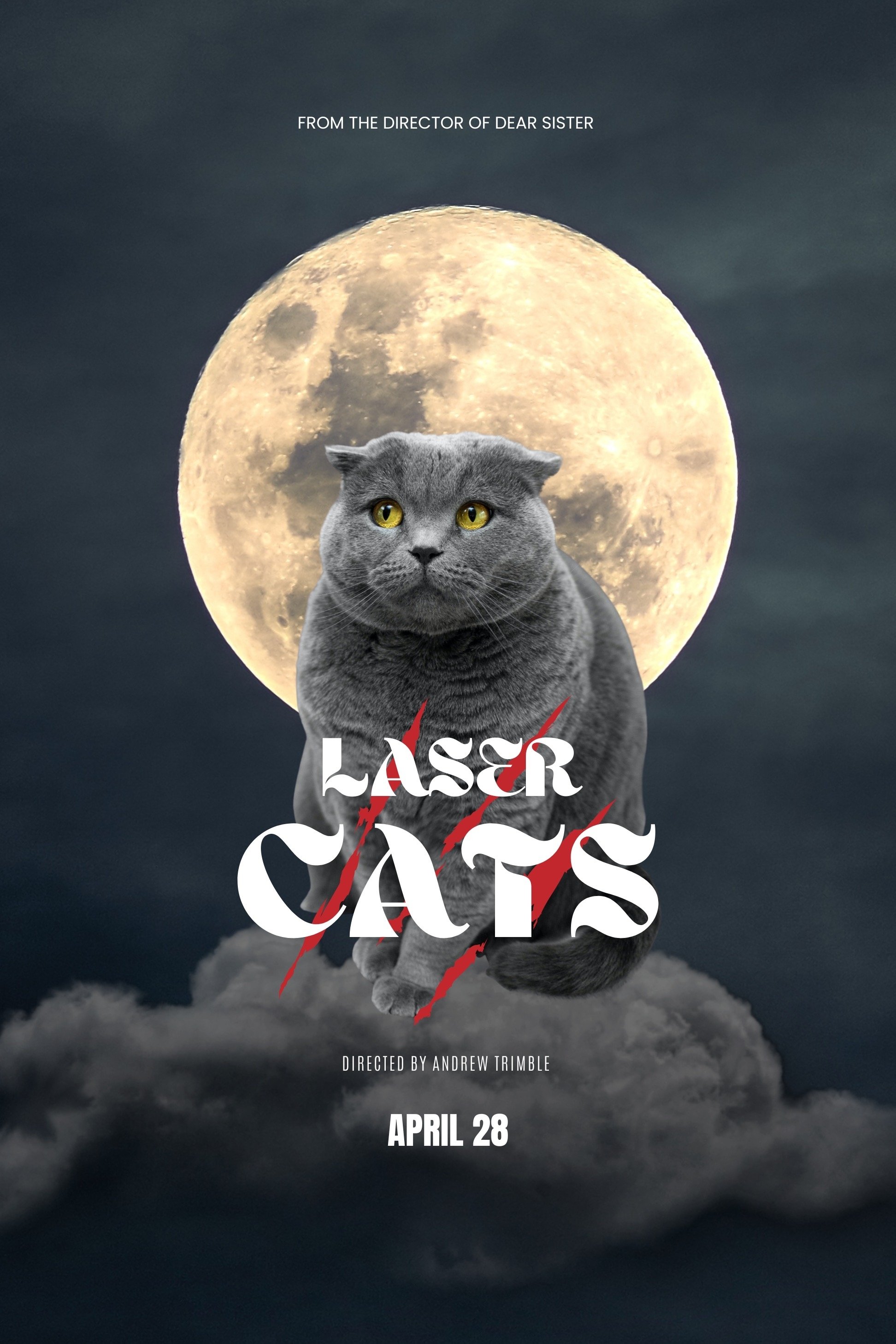 Laser Cats