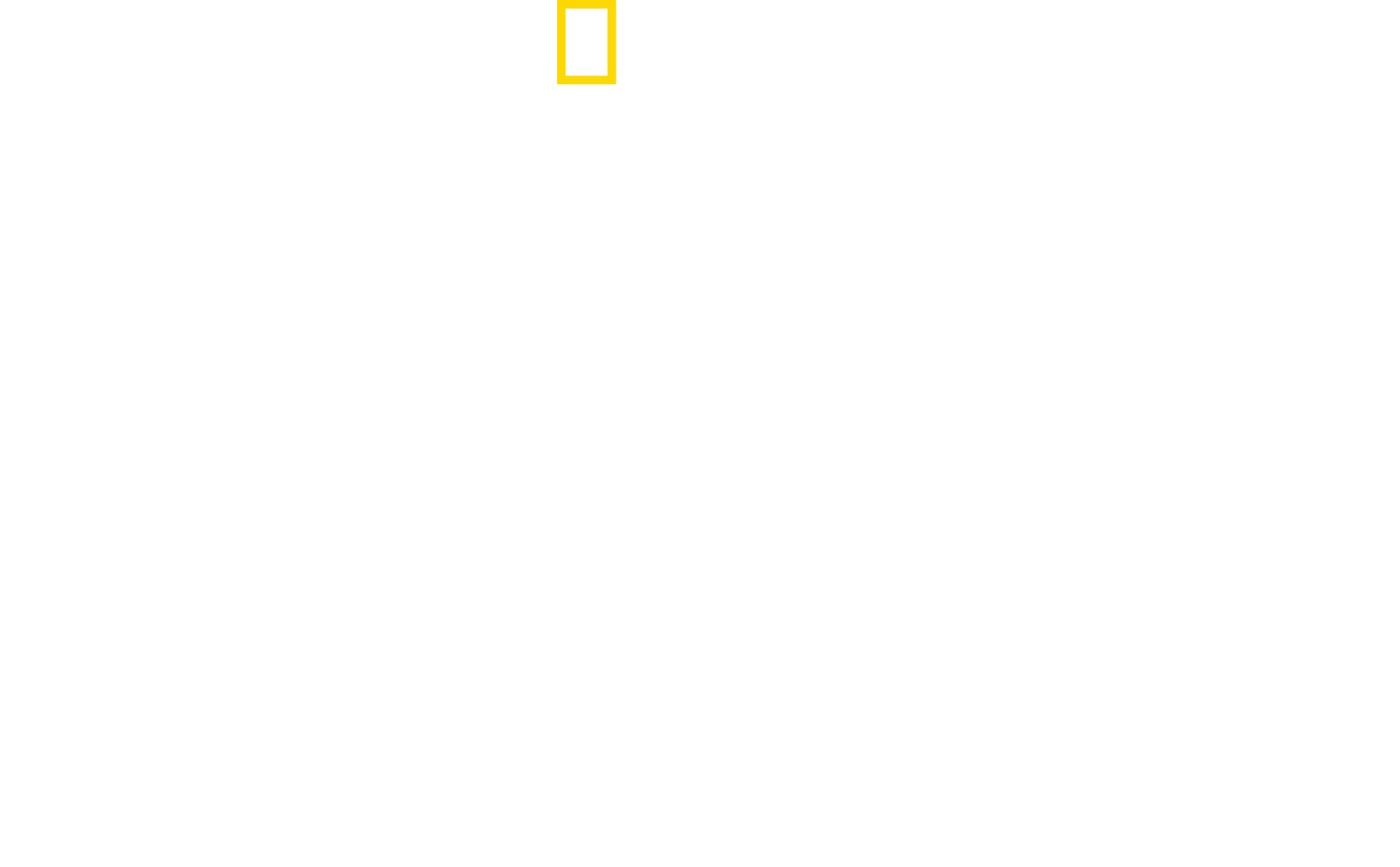 Most Wanted Sharks Logo