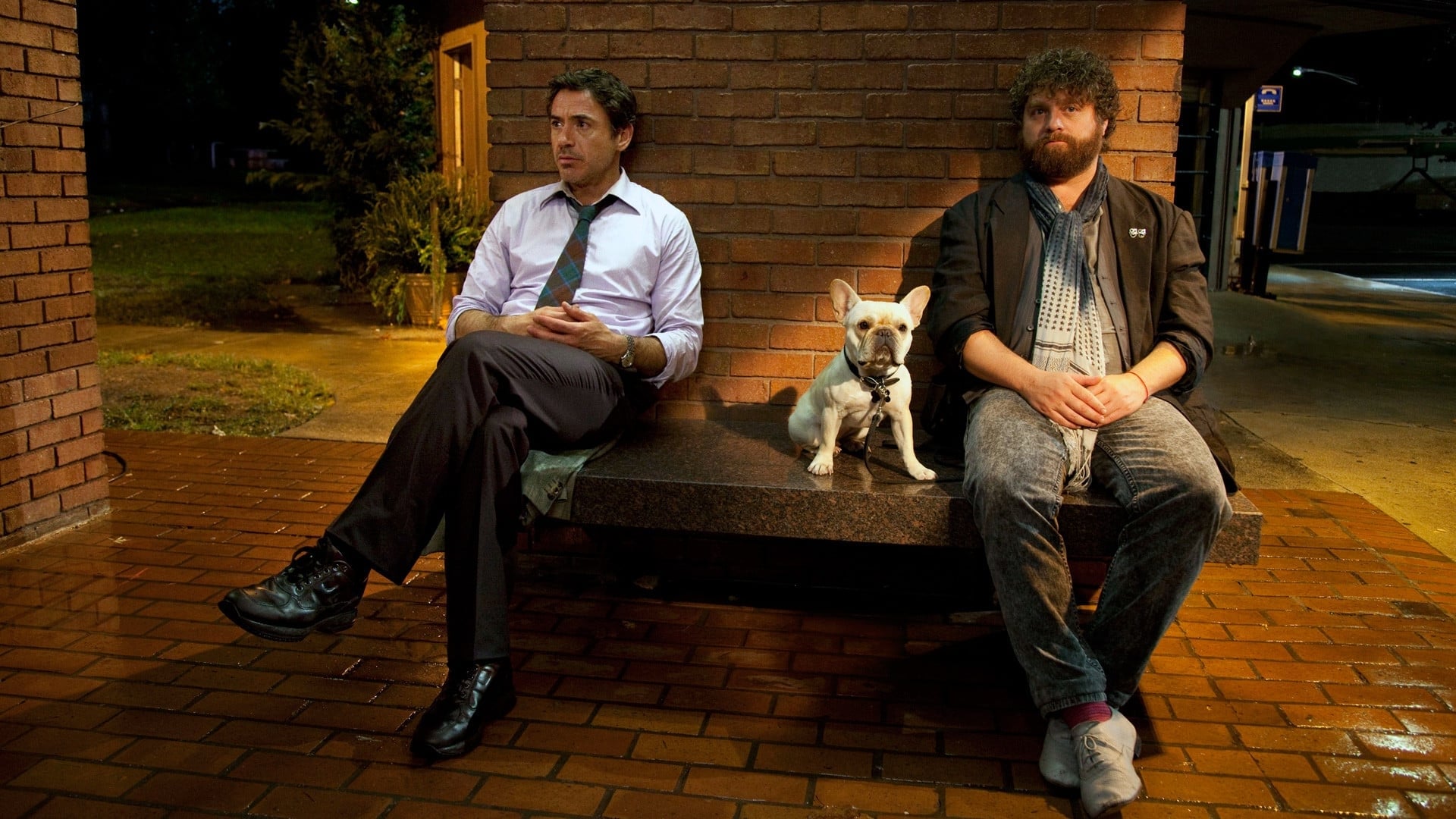 Due Date