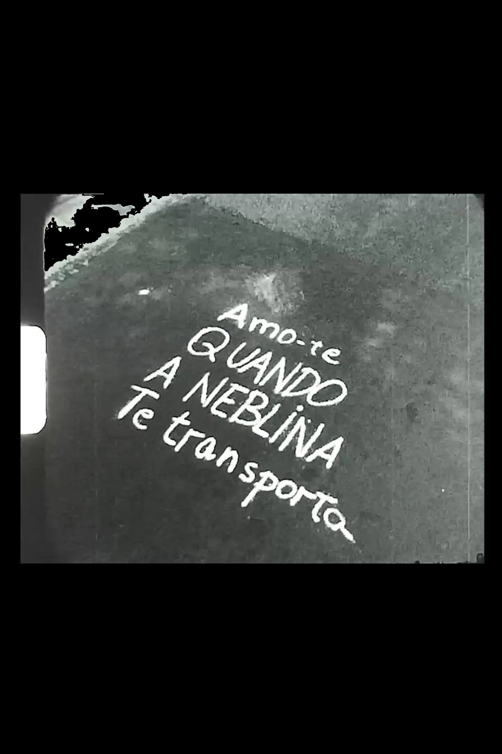 Amo-te quando a neblina te transporta