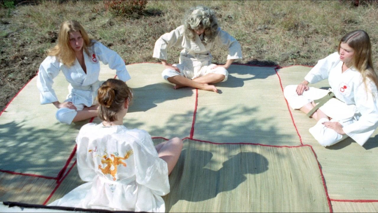 The Vixens of Kung Fu (A Tale of Yin Yang) (1975)