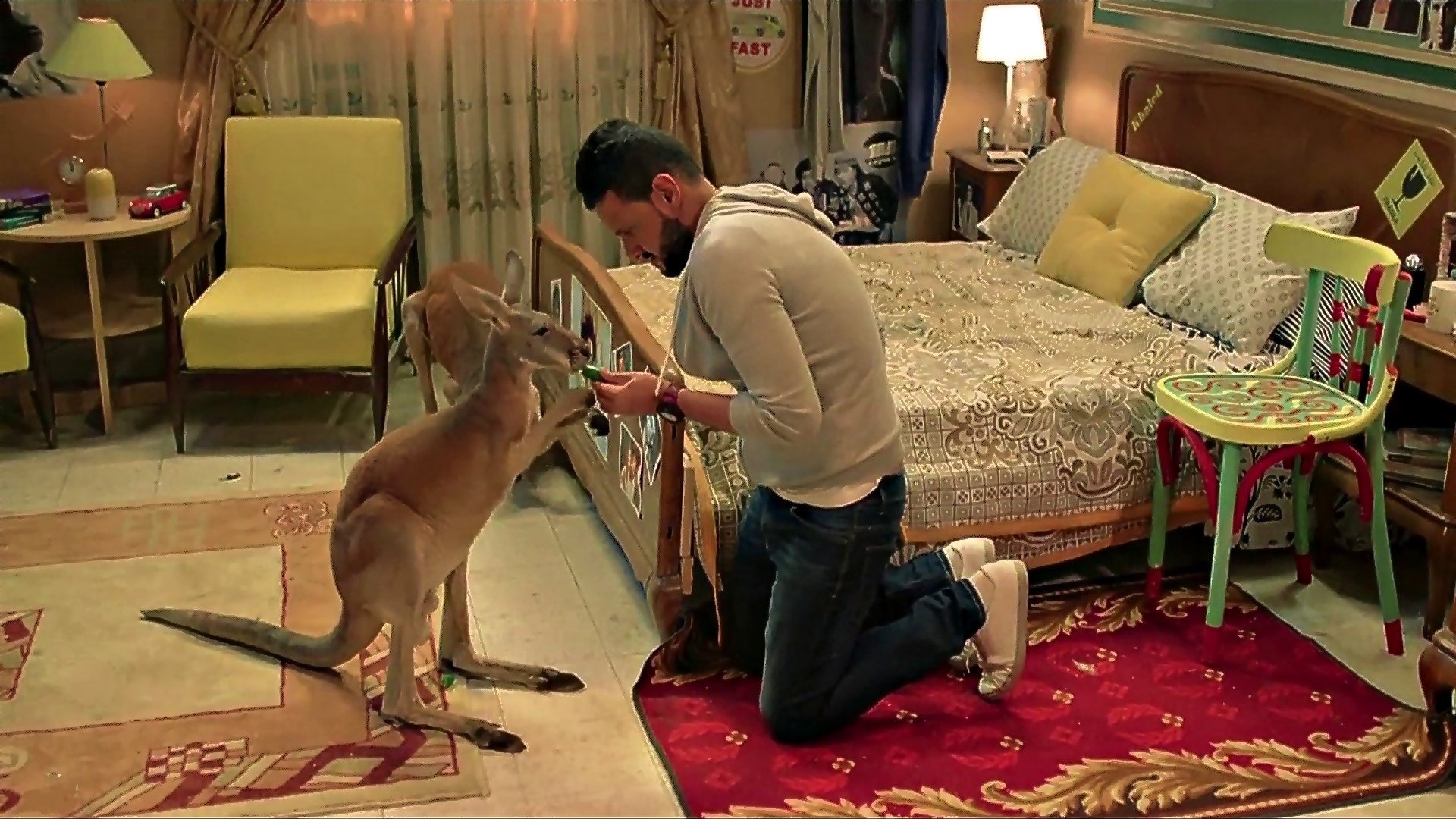 Our Love kangaroo (2016)