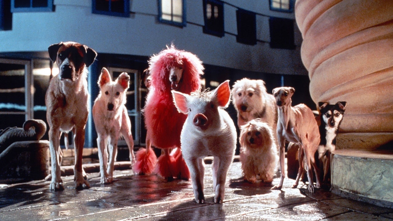 Babe: Pig in the City [Blu-ray Babe, o Porquinho Atrapalhado na Cidade  dublado e legendado em português brasileiro]