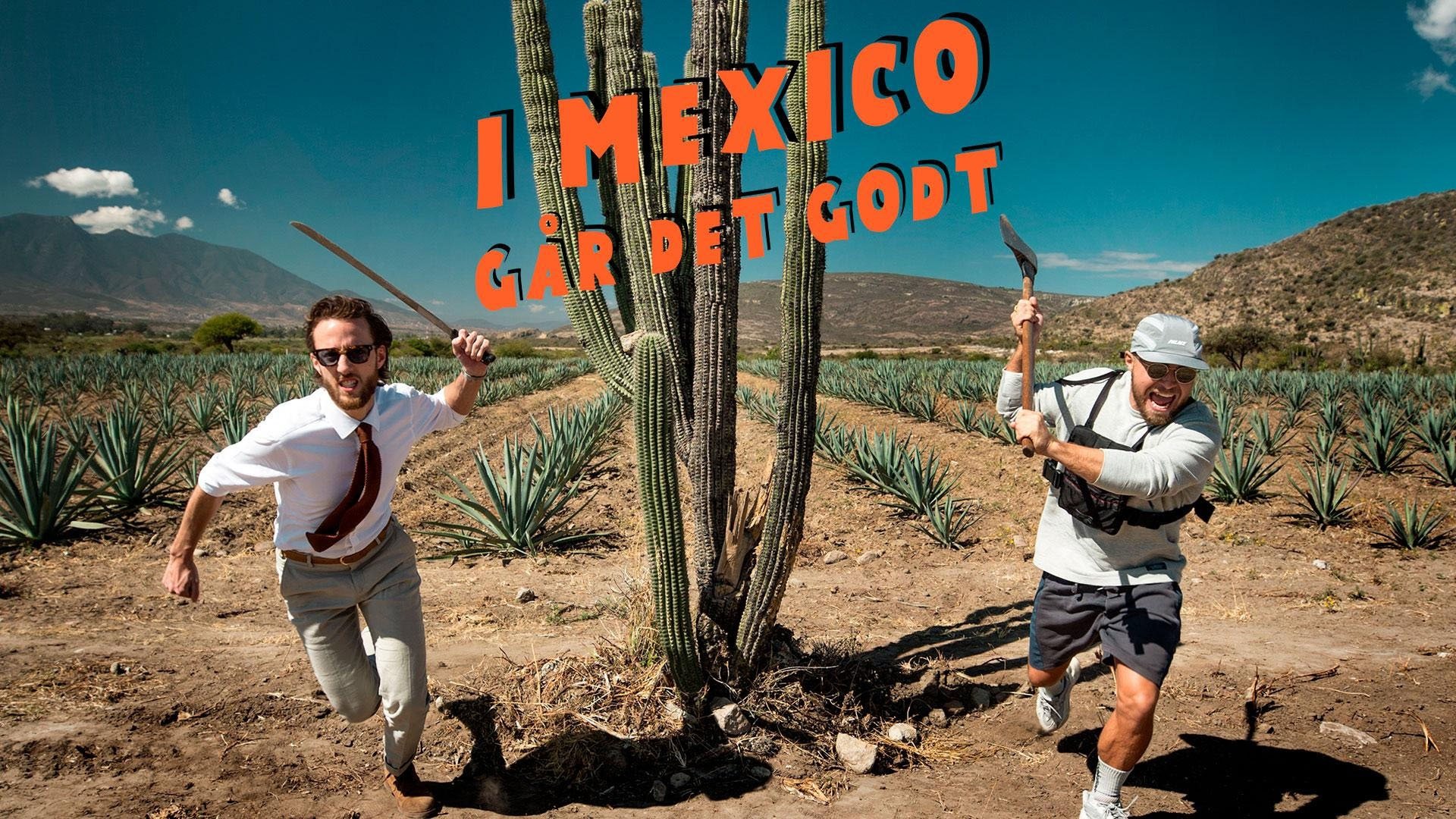 Backdrop I Mexico går det godt