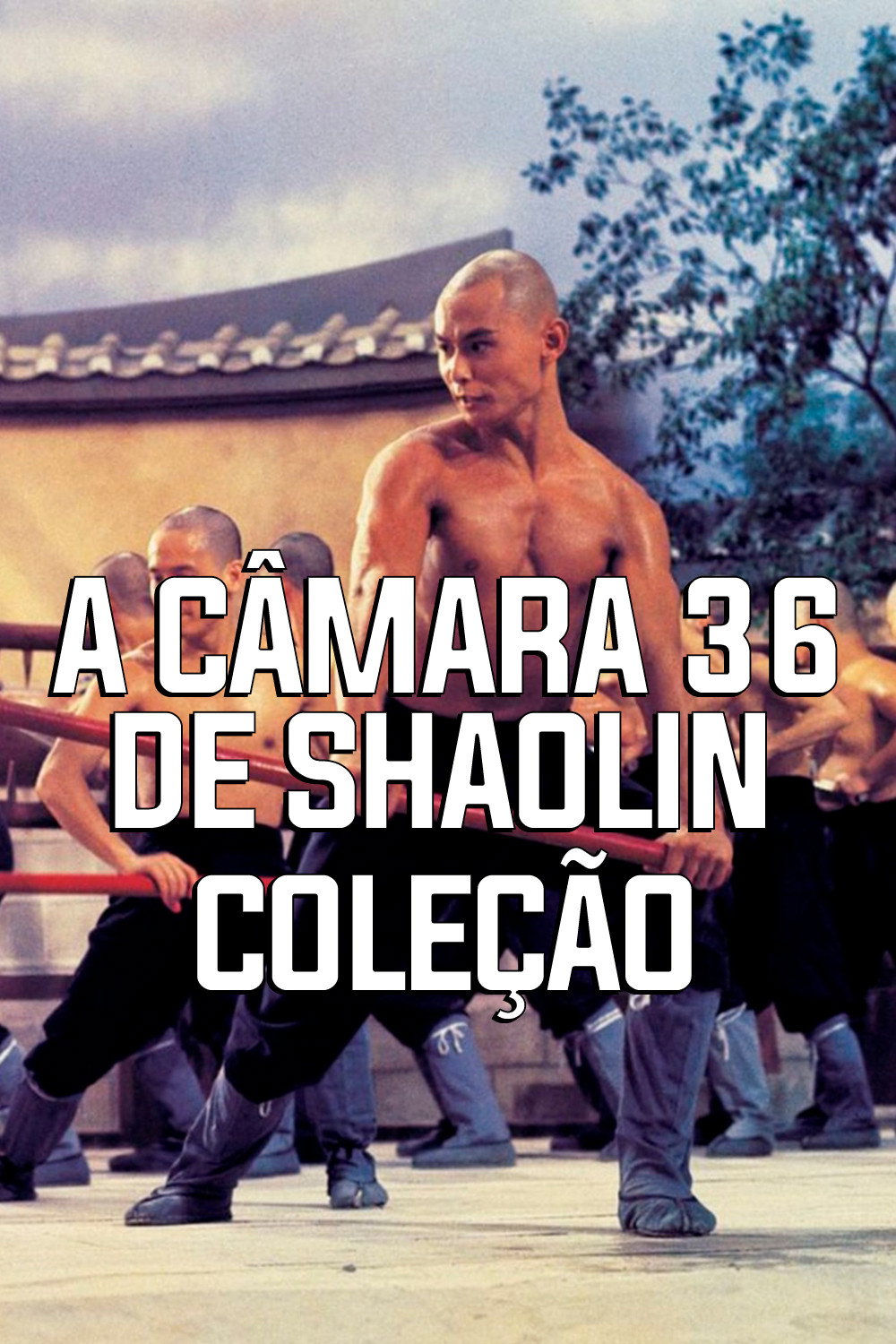 A Câmara 36 de Shaolin: Coleção