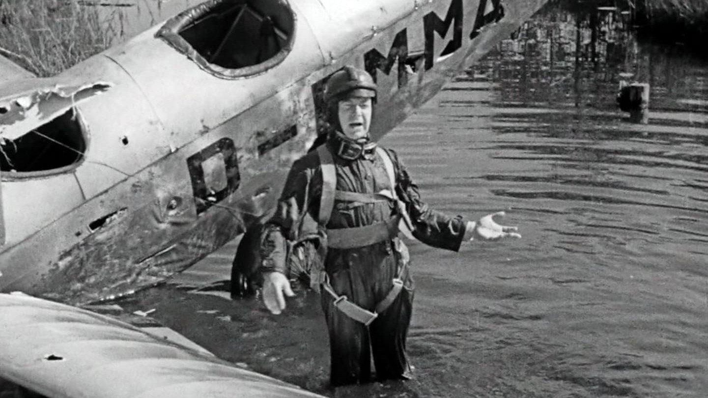 Quax, der Bruchpilot