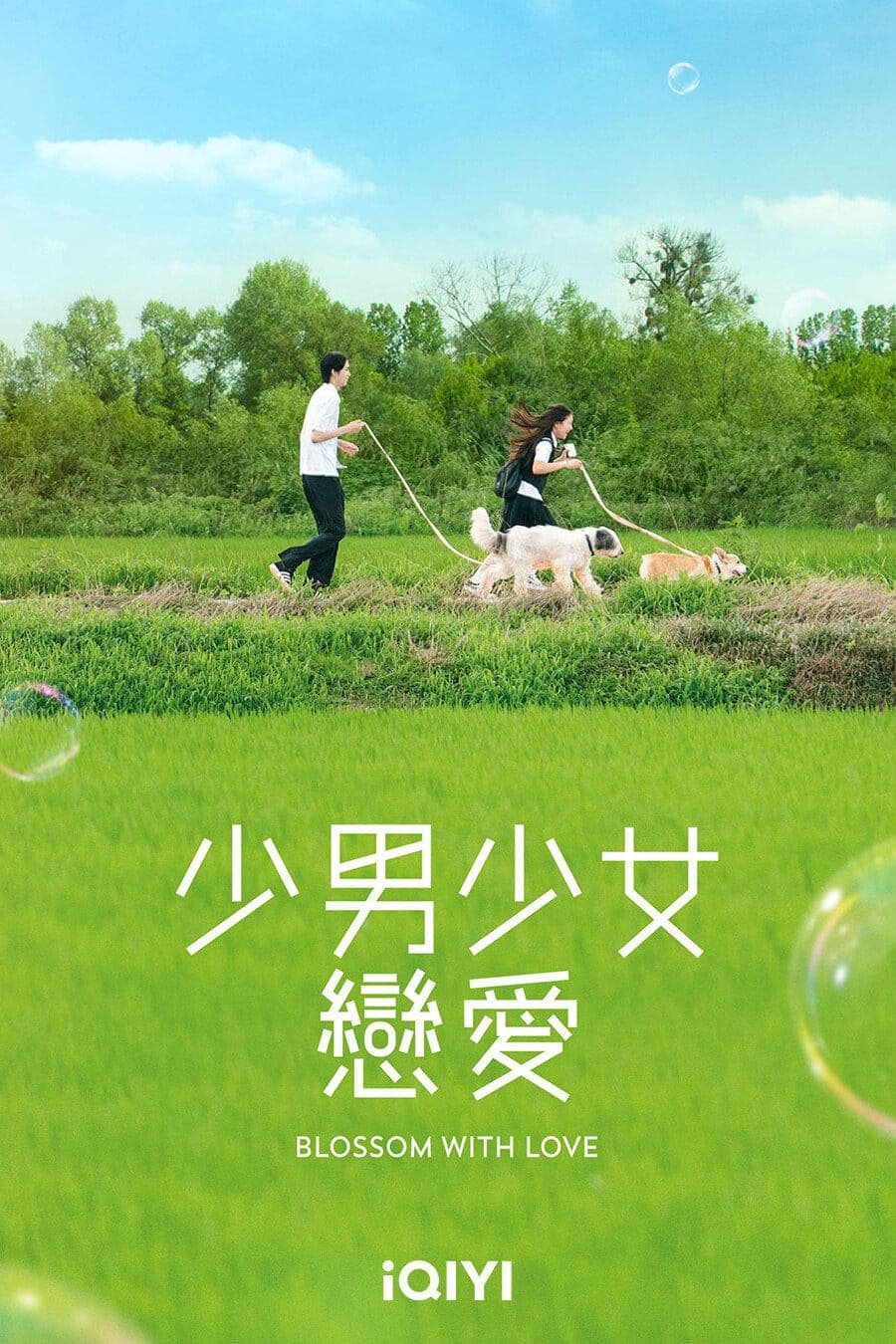 Blossom with Love (TV Series 20232023) Posters — The Movie Database (TMDB)