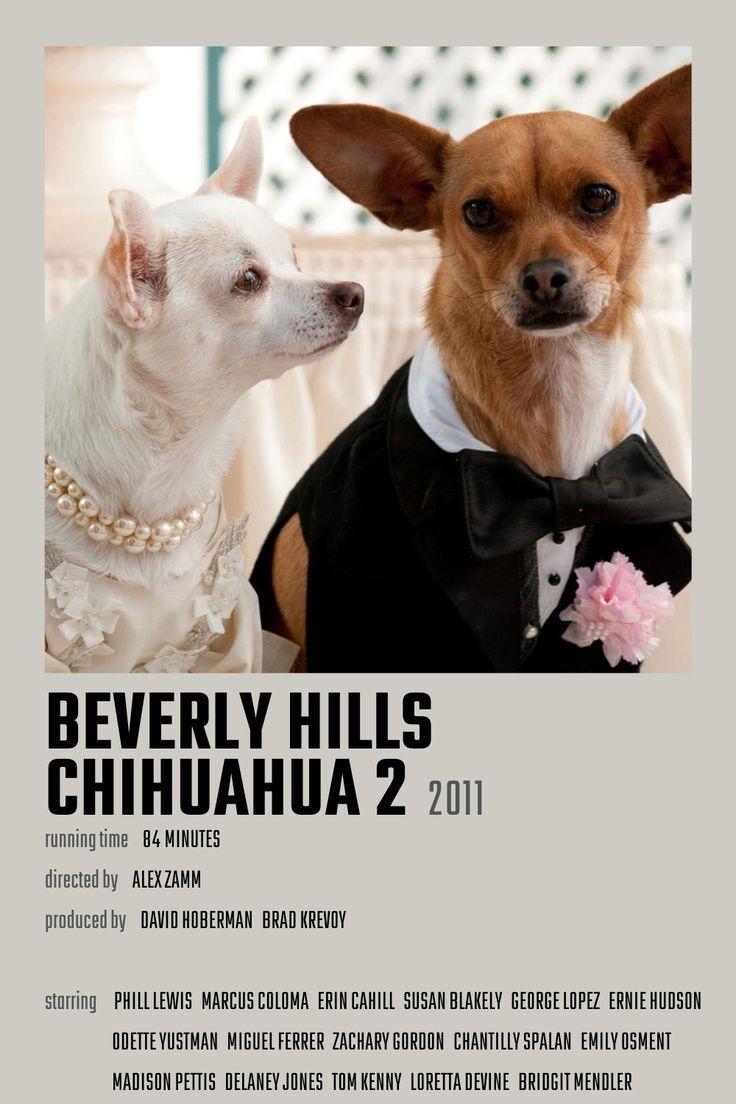 Beverly Hills Chihuahua 2