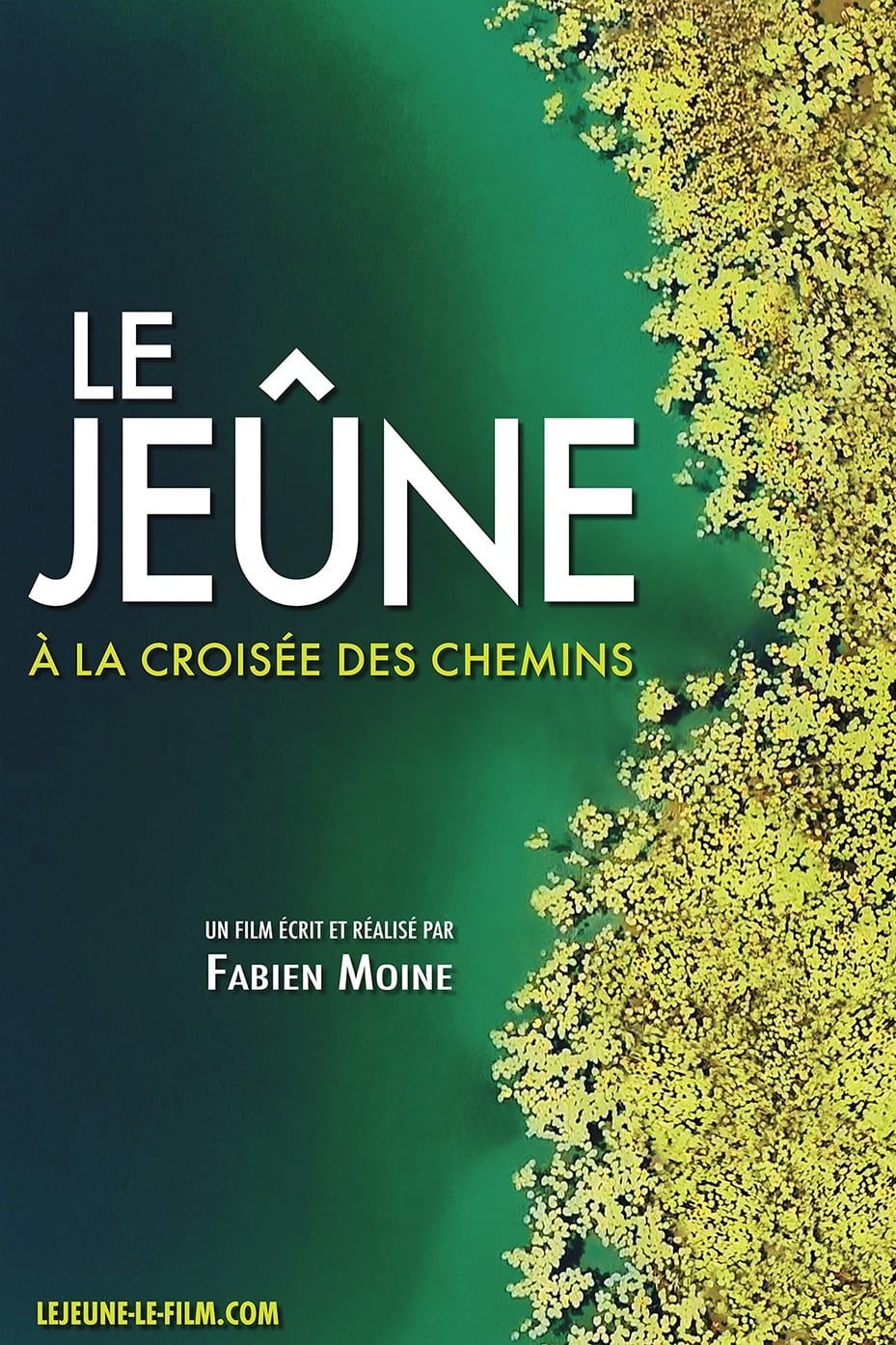 Affiche du film Le Jeûne, à la croisée des chemins 146803