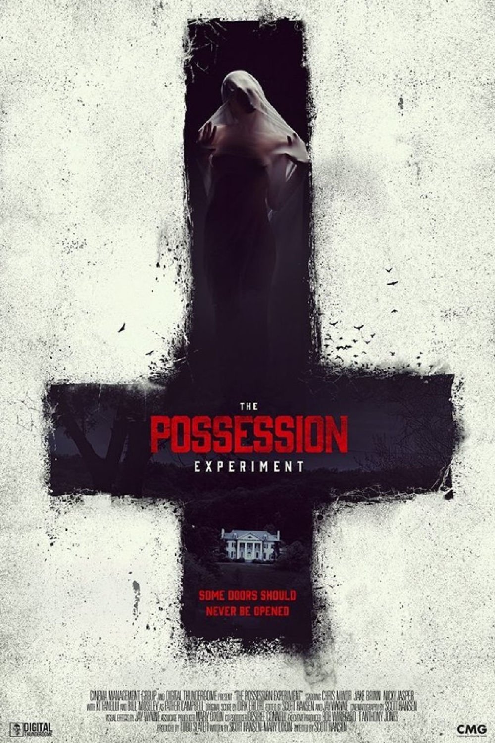 Póster The Possession Experiment