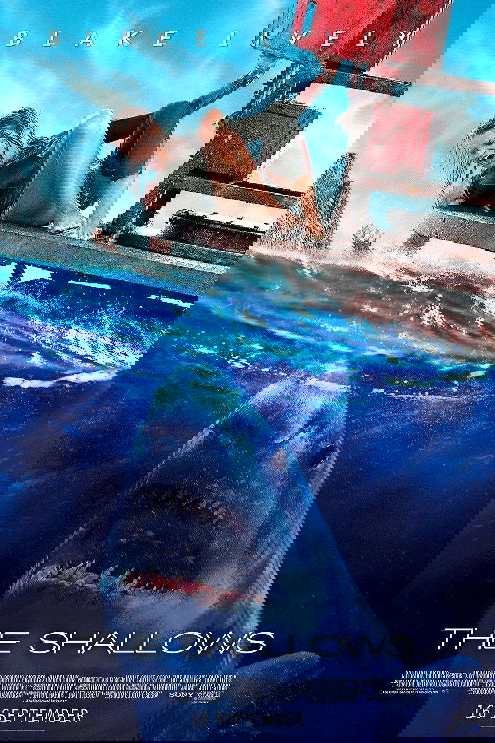 The Shallows