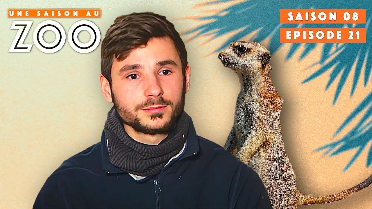 Une saison au zoo