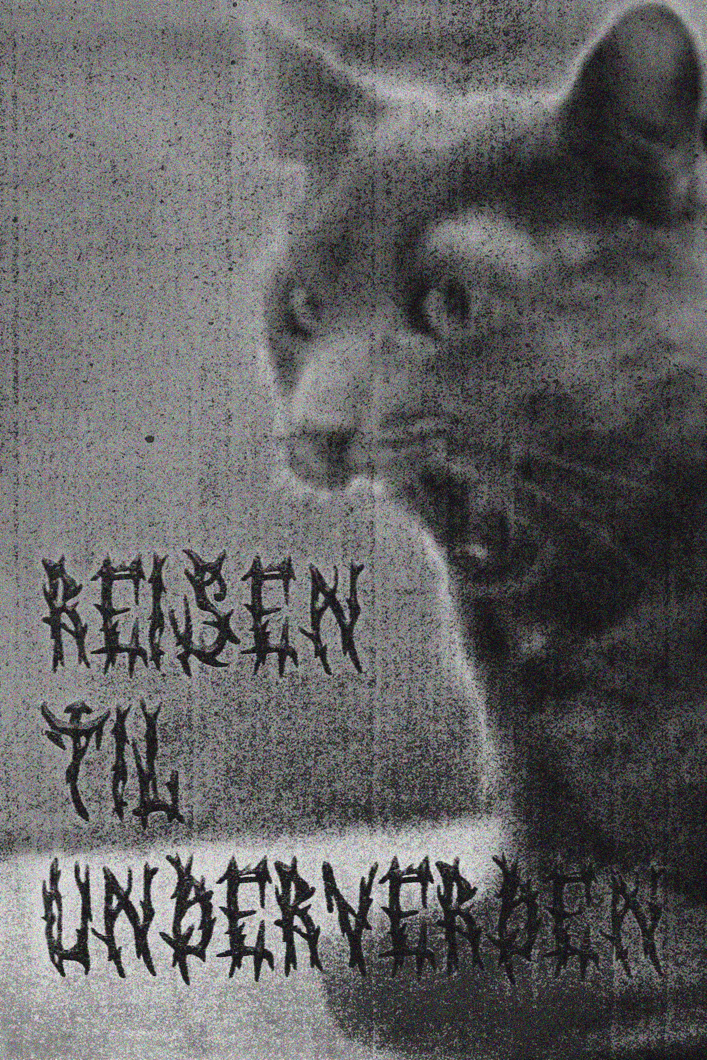 Reisen til Underverden