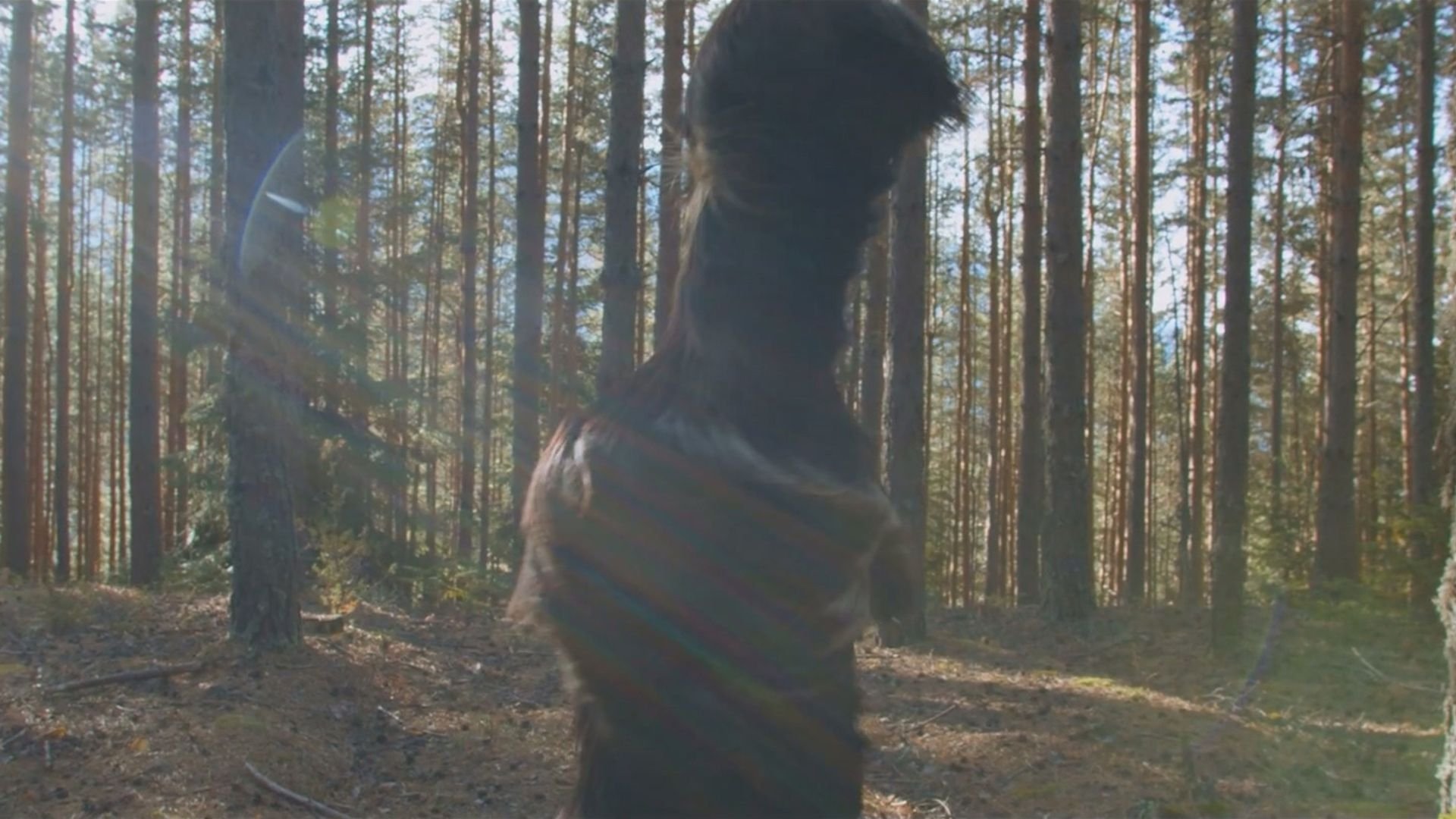 Под кожите (2025)