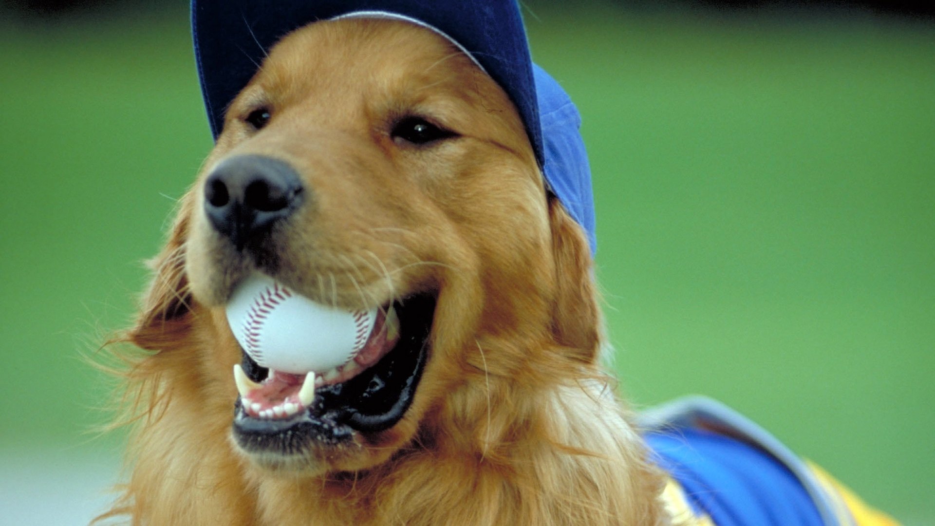 Air Bud - hunden som klarar allt (2002)